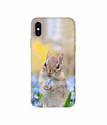 Amazon Brand - Solimo Designer Squirrel 3D Printed Hard Back Case Mobile Cover for Apple iPhone Xs Max