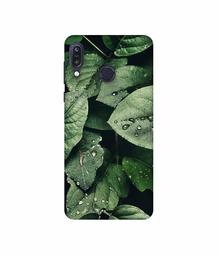 Amazon Brand - Solimo Designer Leafs 3D Printed Hard Back Case Mobile Cover for Asus Zenfone Max M1 ZB555KL