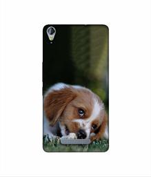 Amazon Brand - Solimo Designer Cute Puppy 3D Printed Hard Back Case Mobile Cover for Micromax Canvas Juice 3Plus Q394