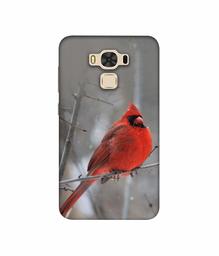 Amazon Brand - Solimo Designer Red Engry Bird 3D Printed Hard Back Case Mobile Cover for Asus Zenfone 3 Max ZC553KL