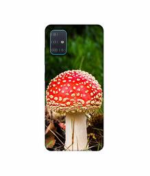 Amazon Brand - Solimo Designer Red Mushroom 3D Printed Hard Back Case Mobile Cover for Samsung Galaxy A51