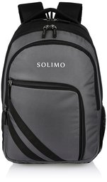 Amazon Brand - Solimo Travel Backpack (29 litres, Metallic Grey & Coal Black)