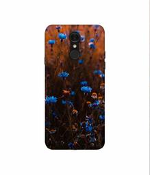 Amazon Brand - Solimo Designer Flower Photograpy 3D Printed Hard Back Case Mobile Cover for LG Q7