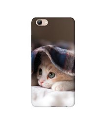 Amazon Brand - Solimo Designer Sleepy Kitten 3D Printed Hard Back Case Mobile Cover for Vivo Y71