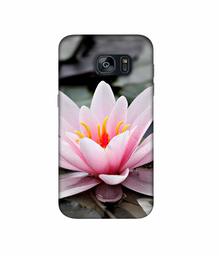 Amazon Brand - Solimo Designer Lotus 3D Printed Hard Back Case Mobile Cover for Samsung Galaxy S7 Edge