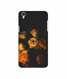 Amazon Brand - Solimo Designer Roses 3D Printed Hard Back Case Mobile Cover for Oppo F1 Plus