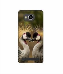 Amazon Brand - Solimo Designer Birds 3D Printed Hard Back Case Mobile Cover for Lenovo A7700