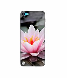 Amazon Brand - Solimo Designer Lotus 3D Printed Hard Back Case Mobile Cover for Apple iPod Touch 5th Generation