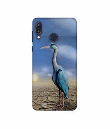 Amazon Brand - Solimo Designer Bagula 3D Printed Hard Back Case Mobile Cover for Asus Zenfone Max M1 ZB555KL