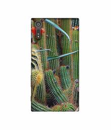 Amazon Brand - Solimo Designer Cactus 3D Printed Hard Back Case Mobile Cover for Sony Xperia XZ Dual