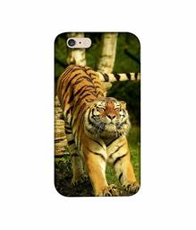 Amazon Brand - Solimo Designer Tiger 3D Printed Hard Back Case Mobile Cover for Apple iPhone 6 Plus / 6S Plus