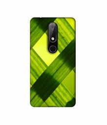 Amazon Brand - Solimo Designer Leafs Texture 3D Printed Hard Back Case Mobile Cover for Nokia 6.1 Plus