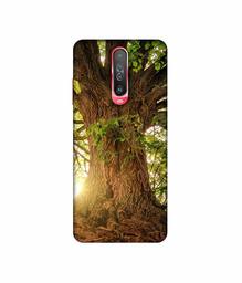 Amazon Brand - Solimo Designer Tree Trunk 3D Printed Hard Back Case Mobile Cover for Poco X2 / Mi Redmi K30