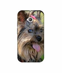 Amazon Brand - Solimo Designer Hairy Puppy 3D Printed Hard Back Case Mobile Cover for Motorola Moto E 2nd Generation