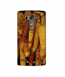 Amazon Brand - Solimo Designer Corns 3D Printed Hard Back Case Mobile Cover for LG G4 Stylus