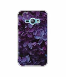 Amazon Brand - Solimo Designer Purple Flowers UV Printed Soft Back Case Mobile Cover for Samsung Galaxy J1 Ace