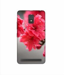 Amazon Brand - Solimo Designer Blossom Like Flower 3D Printed Hard Back Case Mobile Cover for Lenovo A6600