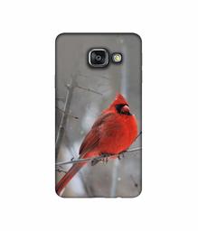 Amazon Brand - Solimo Designer Red Engry Bird 3D Printed Hard Back Case Mobile Cover for Samsung Galaxy A3 (2016)