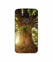 Amazon Brand - Solimo Designer Tree Trunk 3D Printed Hard Back Case Mobile Cover for LG Nexus 5X