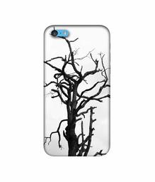 Amazon Brand - Solimo Designer Dark Tree 3D Printed Hard Back Case Mobile Cover for Apple iPhone 5C