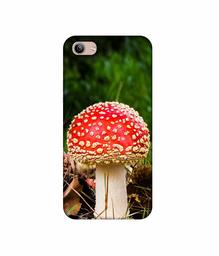 Amazon Brand - Solimo Designer Red Mushroom 3D Printed Hard Back Case Mobile Cover for Vivo Y81i