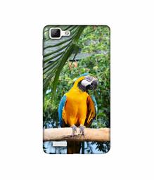 Amazon Brand - Solimo Designer Macaw Bird 3D Printed Hard Back Case Mobile Cover for Vivo V1