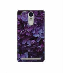 Amazon Brand - Solimo Designer Purple Flowers 3D Printed Hard Back Case Mobile Cover for Lenovo K5 Note