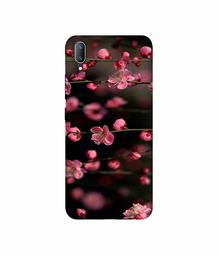 Amazon Brand - Solimo Designer Pink Flowers 3D Printed Hard Back Case Mobile Cover for Vivo V11 Pro