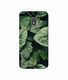 Amazon Brand - Solimo Designer Leafs 3D Printed Hard Back Case Mobile Cover for Samsung Galaxy J2 Core