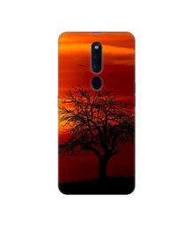 Amazon Brand - Solimo Designer Nature View 3D Printed Hard Back Case Mobile Cover for Oppo F11 Pro