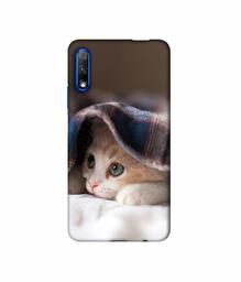 Amazon Brand - Solimo Designer Sleepy Kitten 3D Printed Hard Back Case Mobile Cover for Honor 9X