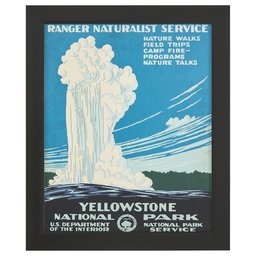 Amazon Brand – Rivet Vintage U.S. Parks Old Faithful Geyser Print, Black Barnwood Frame, 19