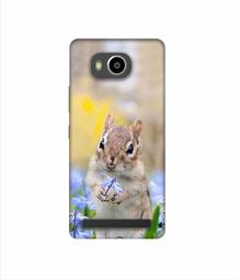 Amazon Brand - Solimo Designer Squirrel 3D Printed Hard Back Case Mobile Cover for Lenovo A7700