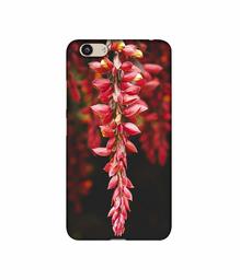 Amazon Brand - Solimo Designer Flowers Photograpy 3D Printed Hard Back Case Mobile Cover for Vivo Y53