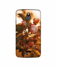 Amazon Brand - Solimo Designer Flowers 3D Printed Hard Back Case Mobile Cover for InFocus M2