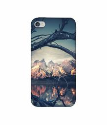 Amazon Brand - Solimo Designer Tree Reflextion 3D Printed Hard Back Case Mobile Cover for Apple iPhone 4 / 4S