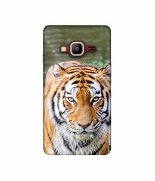 Amazon Brand - Solimo Designer Tiger in Water 3D Printed Hard Back Case Mobile Cover for Samsung Z2