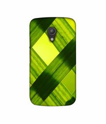 Amazon Brand - Solimo Designer Leafs Texture 3D Printed Hard Back Case Mobile Cover for Motorola Moto G 2nd Generation