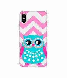 Amazon Brand - Solimo Designer Sky Blue Owl 3D Printed Hard Back Case Mobile Cover for Apple iPhone Xs Max