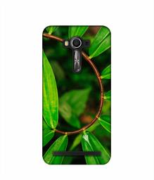 Amazon Brand - Solimo Designer Leaf Photography 3D Printed Hard Back Case Mobile Cover for Asus Zenfone 2 Laser ZE550 KL