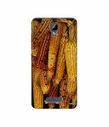 Amazon Brand - Solimo Designer Corns 3D Printed Hard Back Case Mobile Cover for Gionee P7 Max