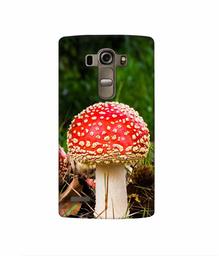 Amazon Brand - Solimo Designer Red Mushroom 3D Printed Hard Back Case Mobile Cover for LG G4 Stylus