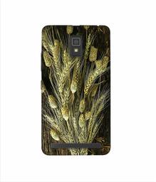 Amazon Brand - Solimo Designer Wheat Plants 3D Printed Hard Back Case Mobile Cover for Lenovo A6600