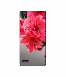 Amazon Brand - Solimo Designer Blossom Like Flower 3D Printed Hard Back Case Mobile Cover for Oppo A35