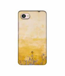 Amazon Brand - Solimo Designer Dry Flower On Wall 3D Printed Hard Back Case Mobile Cover for Xiaomi Redmi Y1 Lite