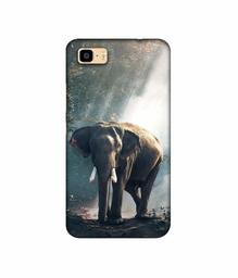 Amazon Brand - Solimo Designer Elephant 3D Printed Hard Back Case Mobile Cover for Asus Zenfone 3S Max