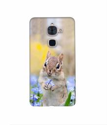 Amazon Brand - Solimo Designer Squirrel 3D Printed Hard Back Case Mobile Cover for LeTV Le 2