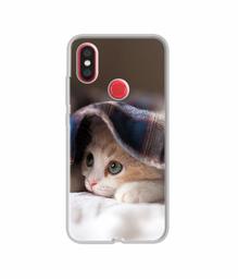 Amazon Brand - Solimo Designer Sleepy Kitten UV Printed Soft Back Case Mobile Cover for Mi A2