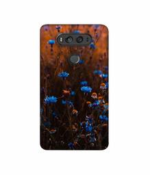 Amazon Brand - Solimo Designer Flower Photograpy 3D Printed Hard Back Case Mobile Cover for LG V20