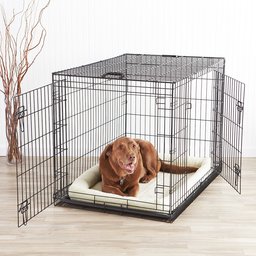 AmazonBasics Double-Door Dog Crate Cage and Padded Bolster Bed